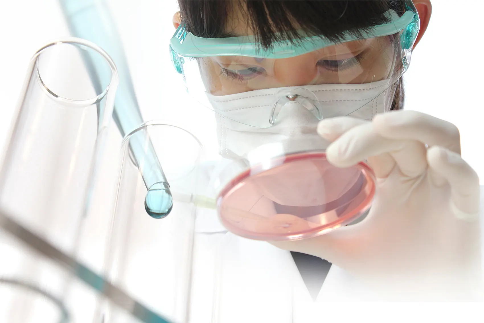 Scientist handling a sample